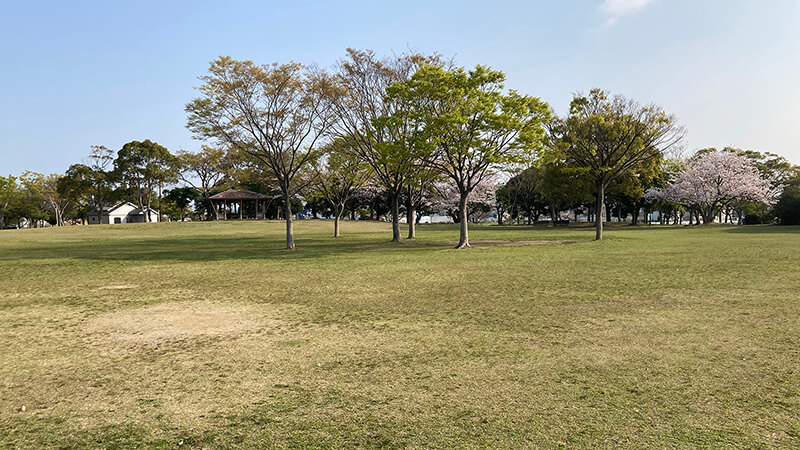 芝生広場