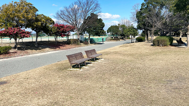 芝生広場沿い