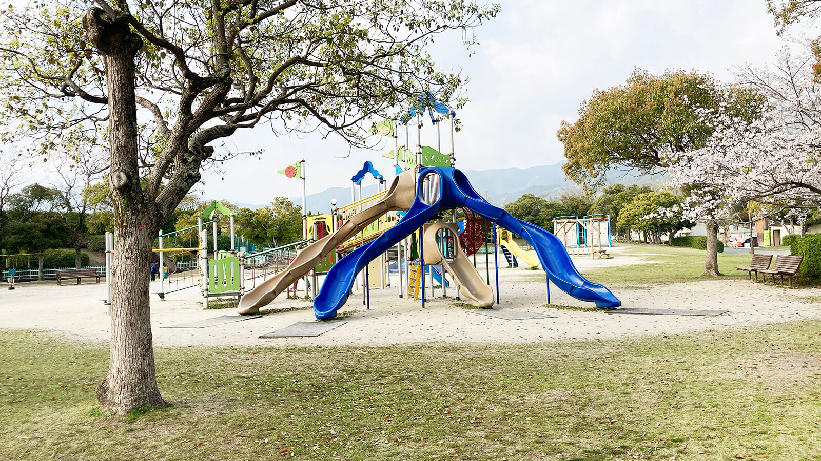 西部運動公園の複合遊具