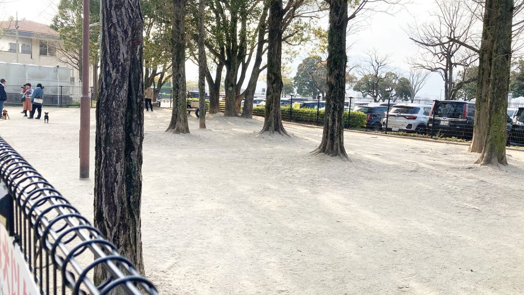 西部運動公園のドッグラン