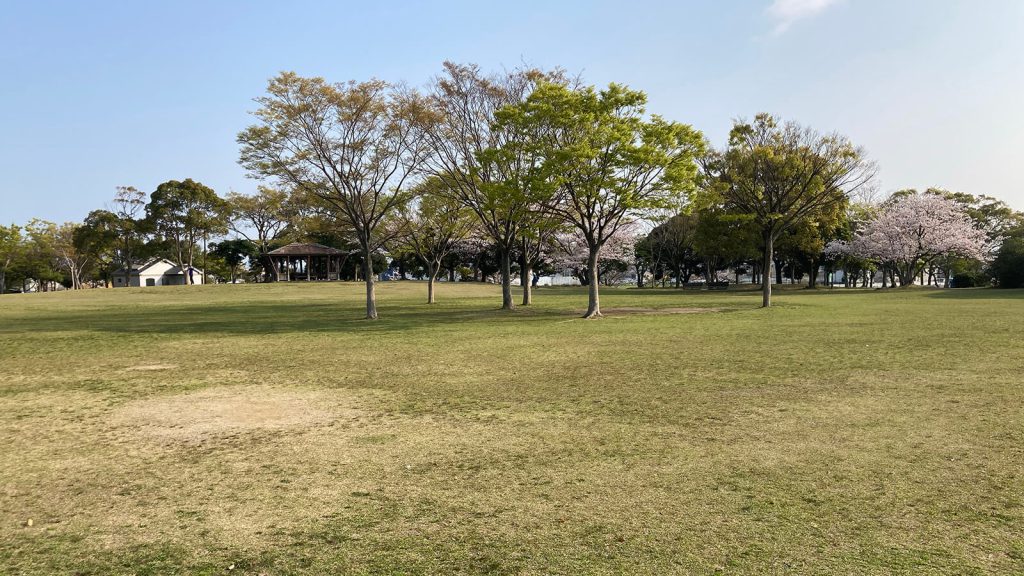 春の西部運動の芝生広場02