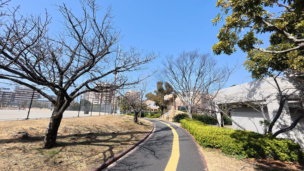 福岡市博物館側のジョギング&ウォーキングコース