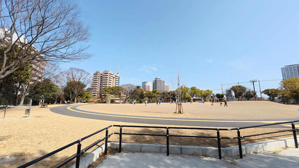 ビル群を背景にした百道中央公園の広大な芝生広場の全景
