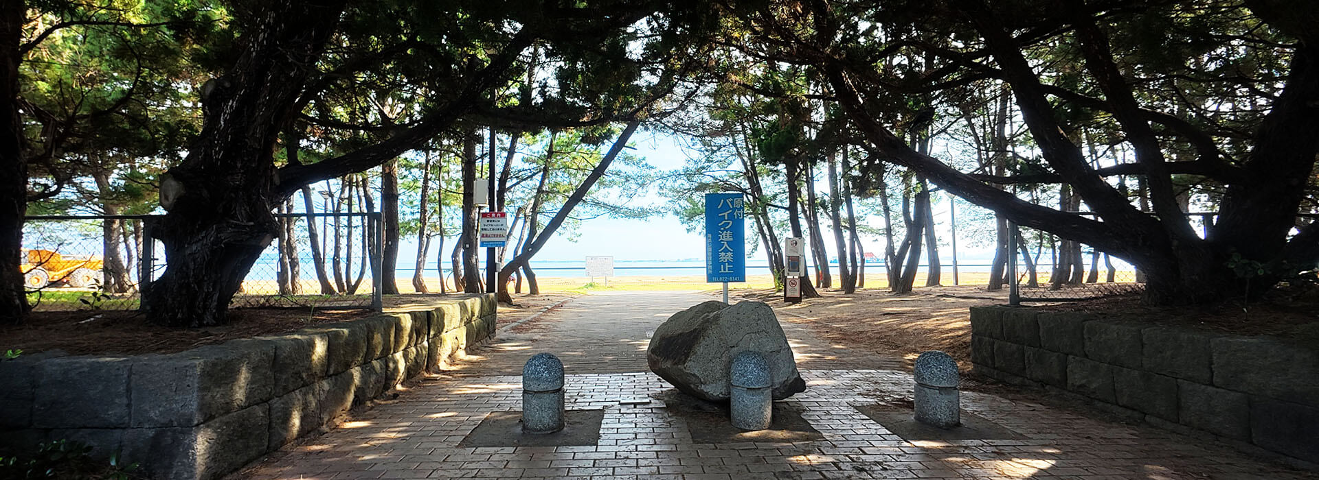 愛宕浜中央公園の松林から続く海辺への通路