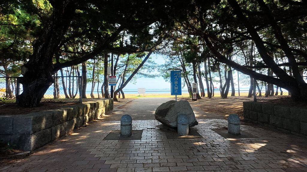 愛宕浜中央公園の松林から海辺へ続く園路