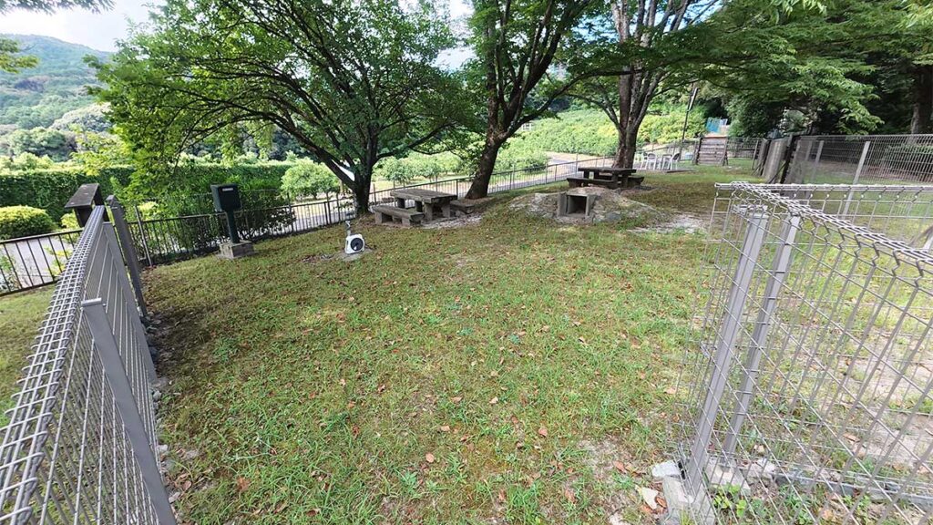 木陰と芝生が広がる花畑園芸公園のドッグラン内部。周囲はフェンスで囲まれている