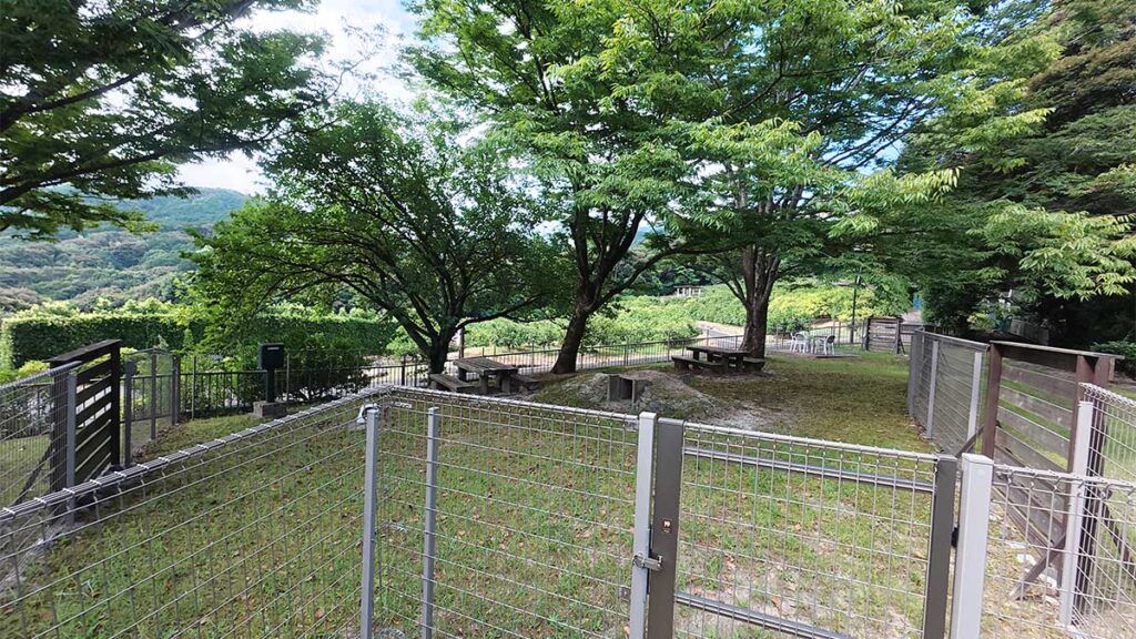 花畑園芸公園のドッグランに設けられた仕切り用フェンスと、木陰のある芝生スペース