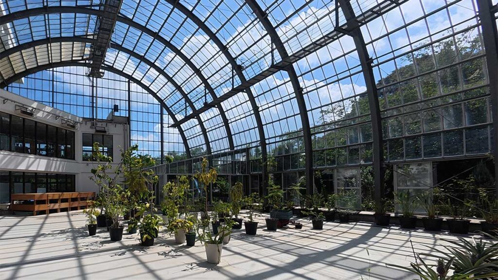 花畑園芸公園の温室内部。ガラス張りの広い空間に鉢植えの植物が並ぶ