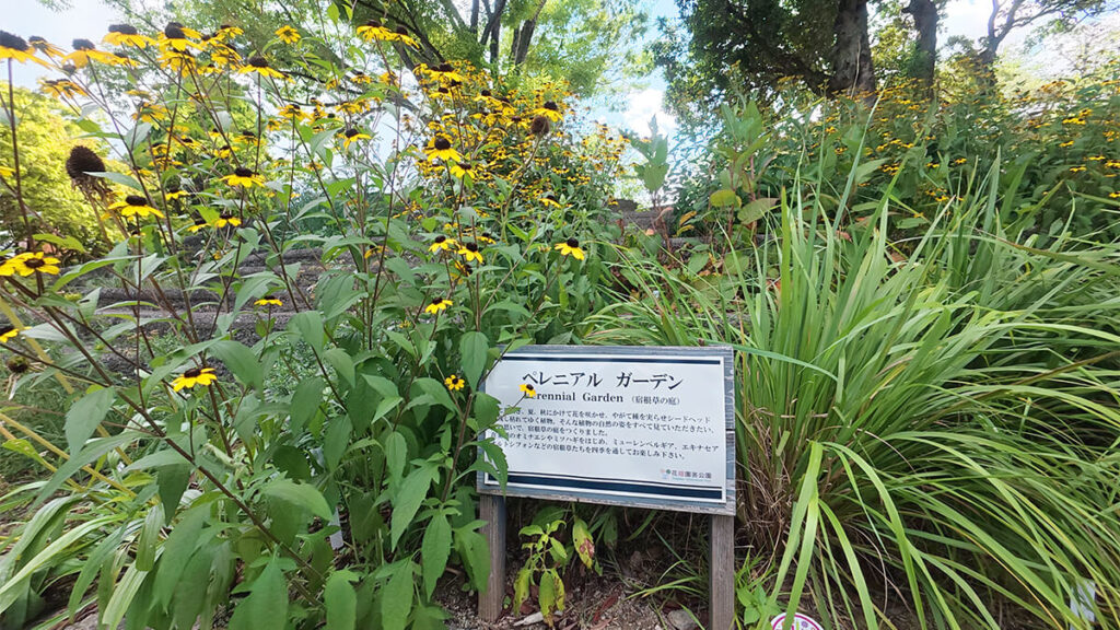 花畑園芸公園のペレニアルガーデンに咲く黄色い花と、宿根草の庭の案内看板