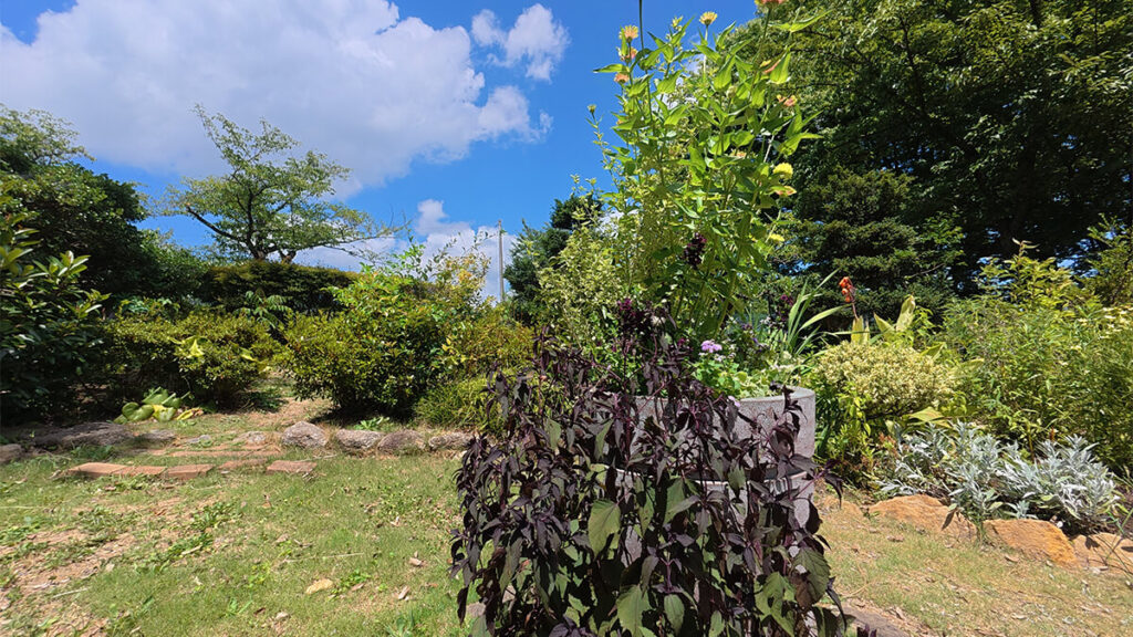 花畑園芸公園のペレニアルガーデンに植えられた、色や高さの異なる草花
