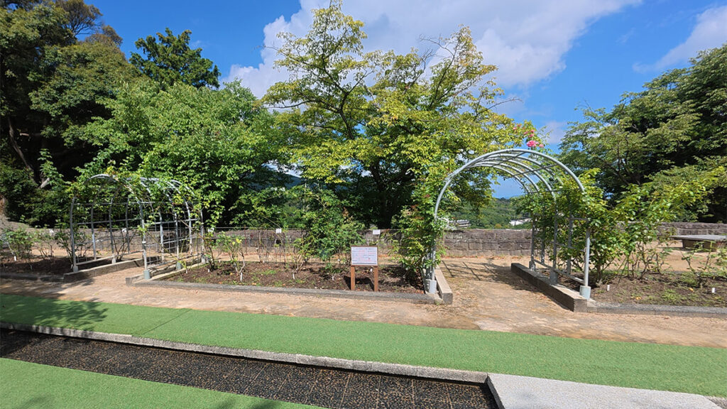 花畑園芸公園の園路沿いに設置された、バラを仕立てる複数のアーチ