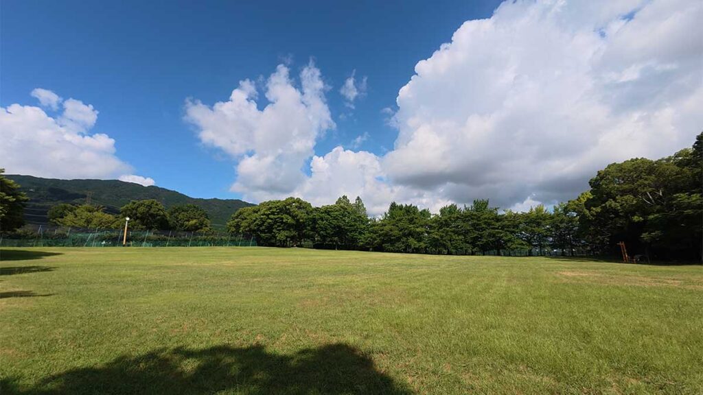 花畑園芸公園の遊具に隣接する広々とした芝生広場と、周囲の山や木々