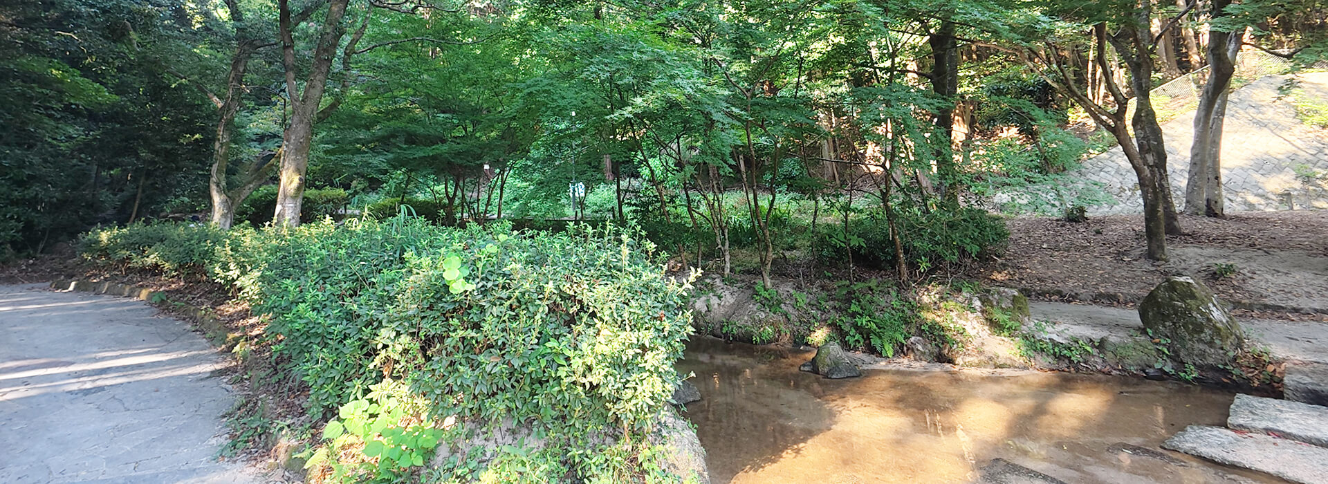 柏原公園の緑豊かな木陰に広がる浅い水路と、川沿いに続く園内通路の様子