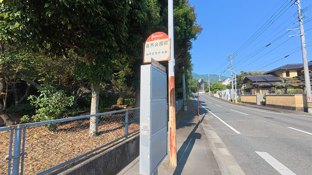 柏原公園そばの道路沿いに設置された、西鉄バス「自然公園前」バス停