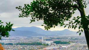 春日市のおすすめ公園一覧を見る