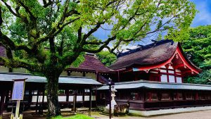 宗像市のおすすめ公園一覧を見る