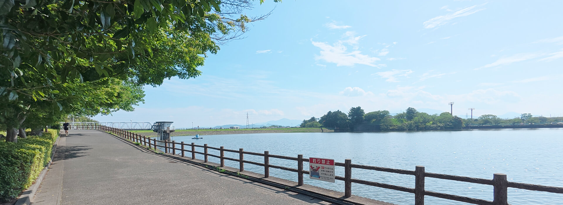 白水大池公園の池沿いを歩ける周回園路