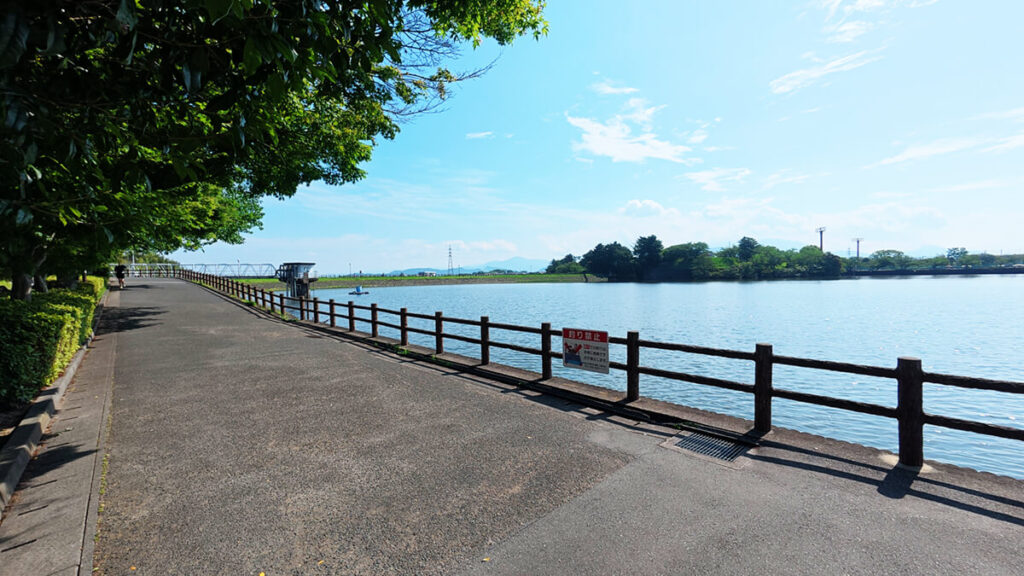 池沿いの散策路