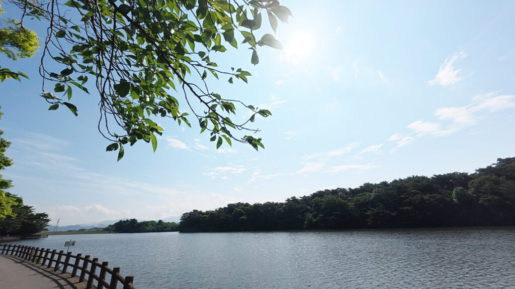 白水大池公園の白水池と周囲の緑豊かな景観