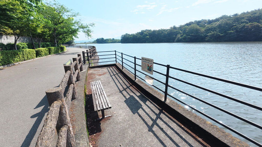 白水大池公園の池沿いに設置された休憩ベンチ