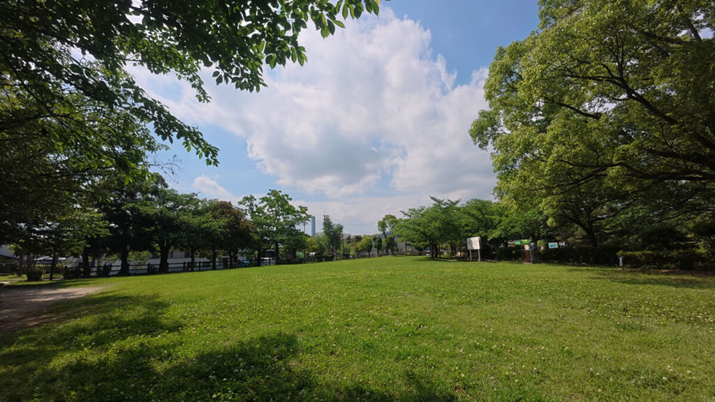 白水大池公園の木々に囲まれた生芝広場