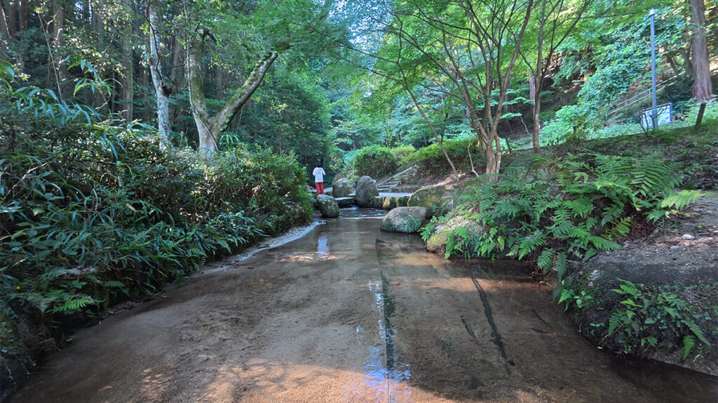 柏原公園の緑に囲まれた下流の水遊び場。木陰に浅く穏やかな川が続く