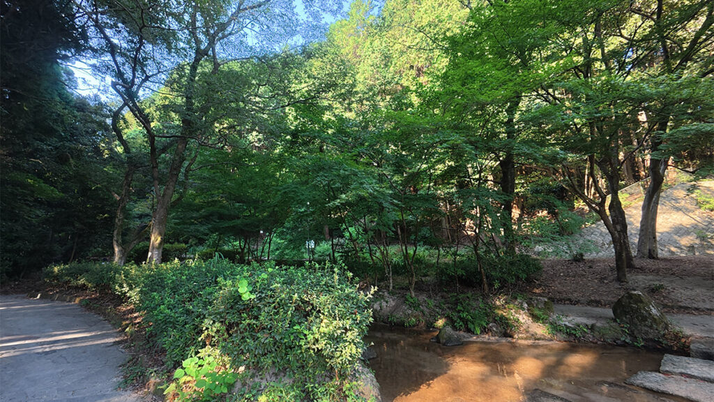 柏原公園の下流付近に広がる木陰と、緑の木々に囲まれた浅い川