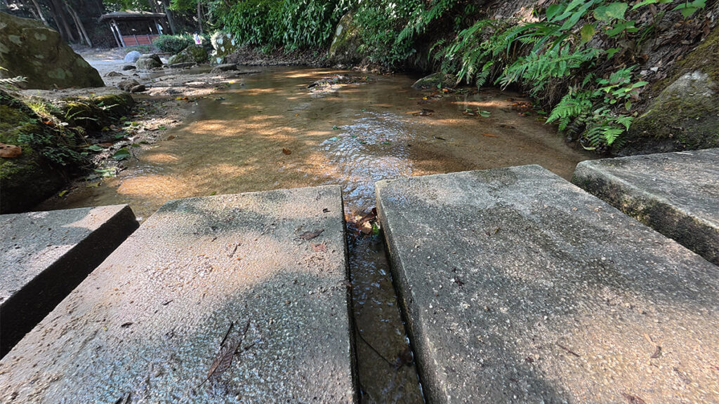 柏原公園の下流にある浅い川と、水辺へ下りるために設けられた石の足場