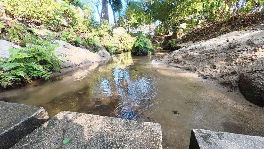 柏原公園の下流付近にある、砂地の川底が見える木々に囲まれた浅い水遊び場