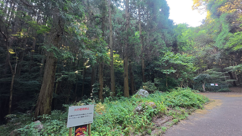 柏原公園の上流付近へ続く園路と、木々の手前に設置された火気使用禁止の案内板