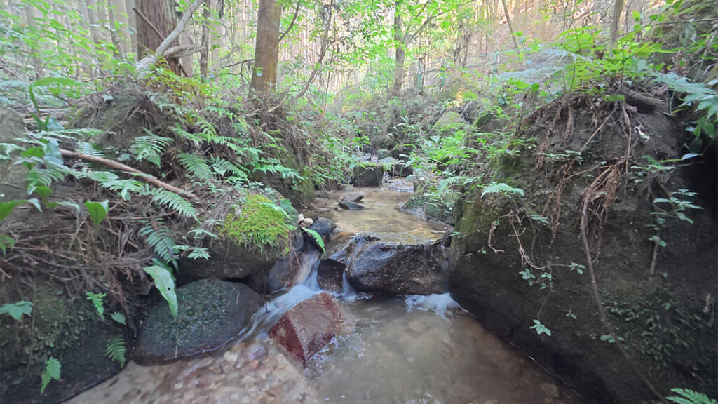 柏原公園の上流で、苔の付いた岩の間を流れ落ちる細く浅い沢の水