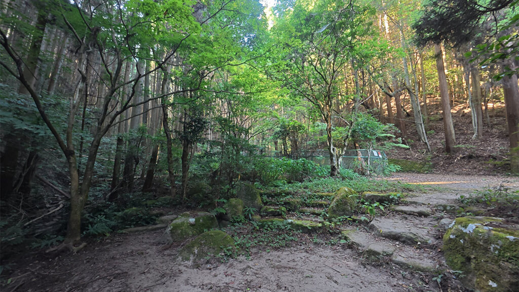 柏原公園の上流付近にある、緑豊かな林と段差のある土の園路
