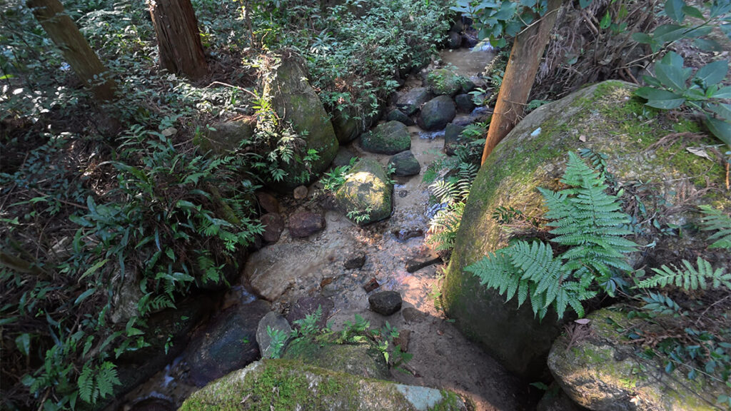 柏原公園の上流を流れる岩の多い沢を、林の中から見下ろした様子