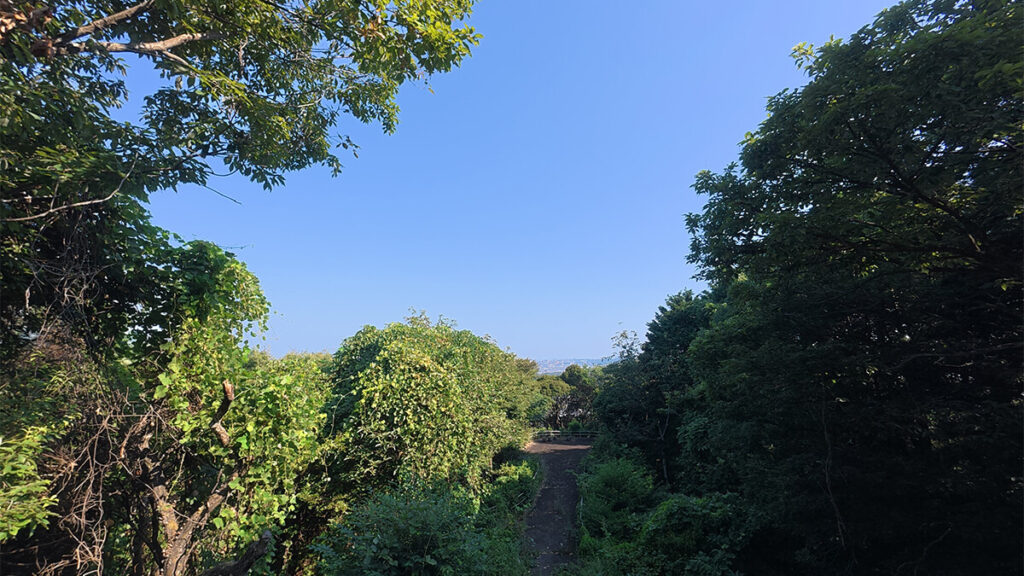 柏原公園の展望台から見た、木々の間に市街地が小さく見える景色