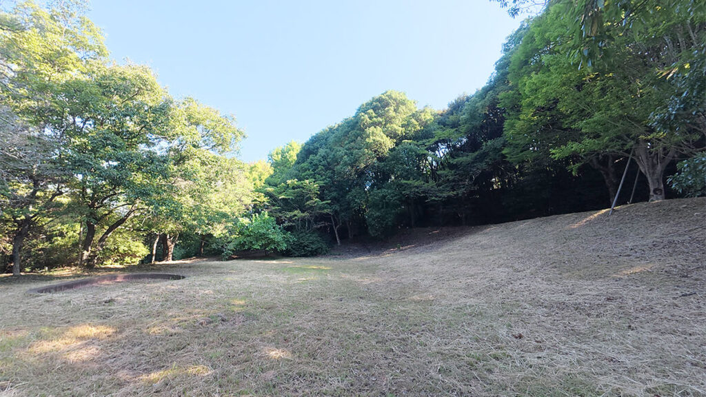 柏原公園の木々に囲まれた、緩やかな傾斜のある草地の広場