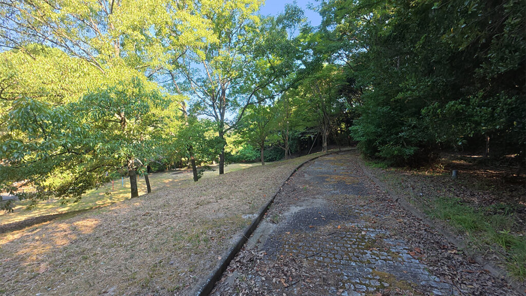 柏原公園の草地の広場に沿って、木々の間を上っていく舗装された坂道