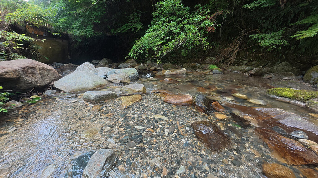 野河内渓谷の下流付近にある、川底の小石まで見える透明で浅い流れ