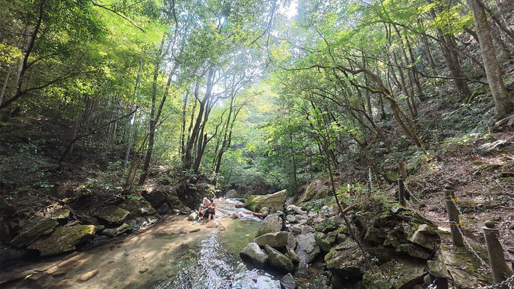 野河内渓谷の中流にある木々に囲まれた浅い水辺