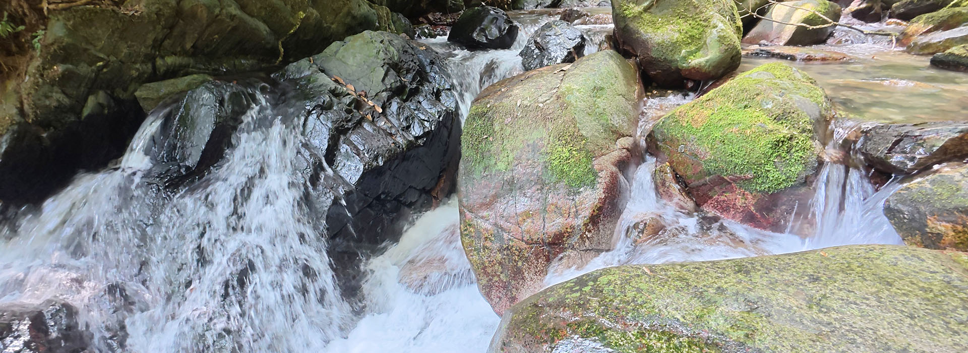福岡市早良区の野河内渓谷で、苔むした岩の間を勢いよく流れる清流